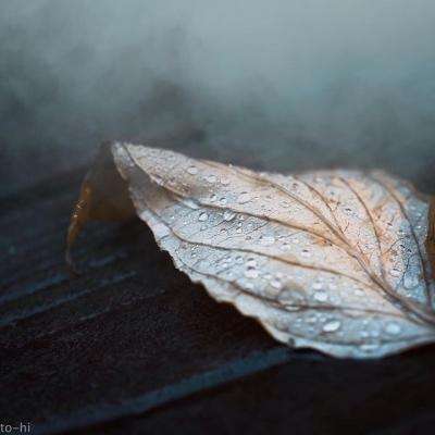 ob体育最新官网手机app下载